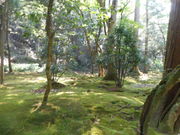 Ⴝ낤̓ߒJɗ뉀̓eʐ^1