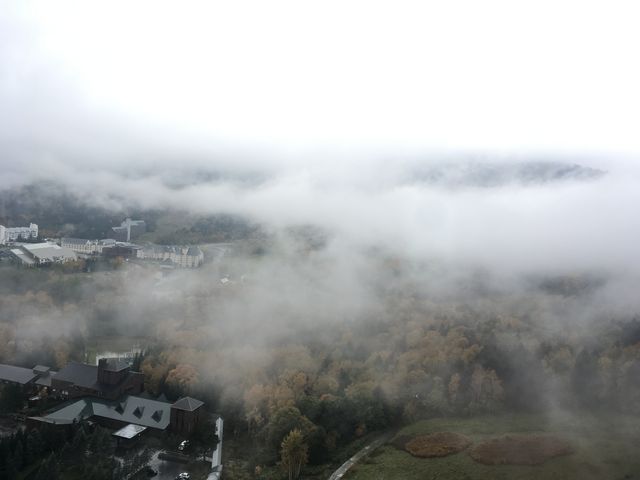 �__���샊�]�[�g�@�g�}�� �_�C�e���X