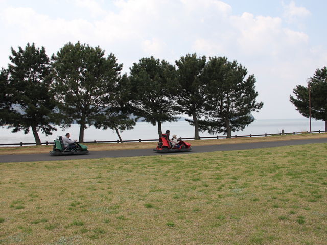 ���`��񂳂�̌䗧���J�[�g�����h�̓��e�ʐ^2