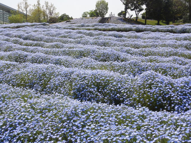 �l���t�B���B�����������ʓI�ɐA�������������Ǝv���̂ł����E�E�E_�啪�_�ƕ�������