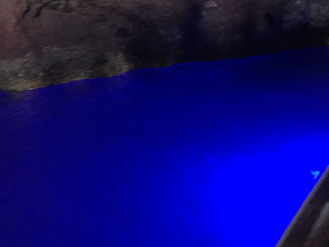 ���A��_���M�̓��A�N���[�Y