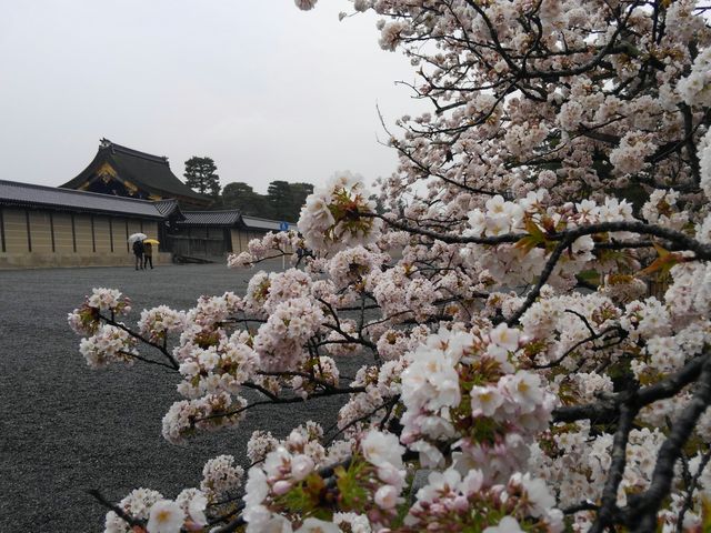 ���d�������J_���s�䏊