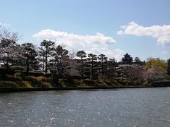 makimaki1969̂Ə]@x߂ւ̓eʐ^1