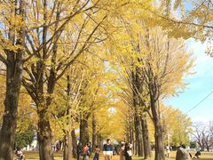 �ف[����񂳂�̈�錧�����j�قւ̓��e�ʐ^1