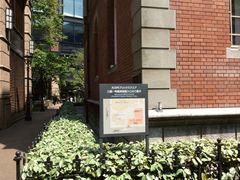 akubi123̎OHꍆٔpقւ̓eʐ^1