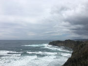 �������񂳂�̏��Y����̓��e�ʐ^2