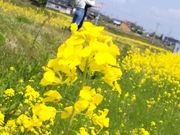 炢̓ދ`̍؂̉Ԕ̓eʐ^1