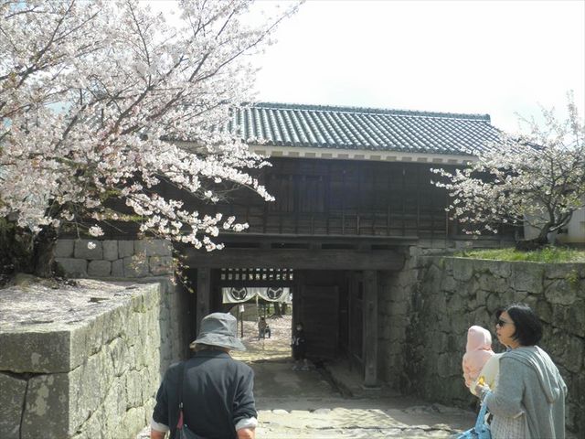 ���ۖ�ƍ�_���R��̍�