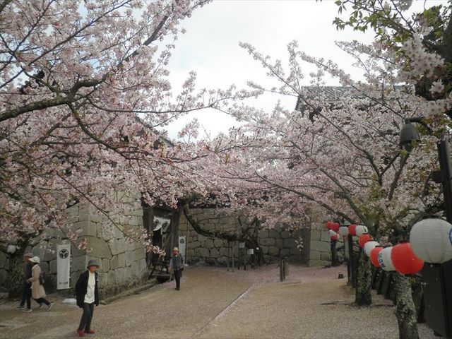 ���ۖ�O�̍�_���R��̍�