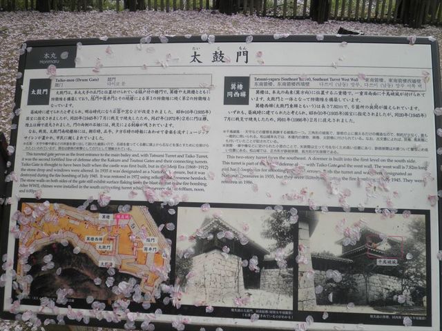 ���ۖ�ē��łɂ����̉Ԃт炪_���R��̍�