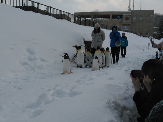 �y���M���U��_���R������