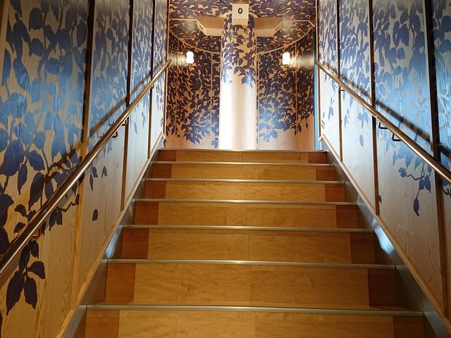 �f�b�L�֌������K�i_�����C���D