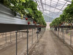 JgẼgK@XvOt@[@ւ̓eʐ^1