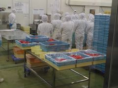 ݁[[ԁ[̂߂񂽂p[NƂȂ߂ւ̓eʐ^3