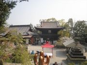 ������Ƃ���̐Ύ莛�񉤖�̓��e�ʐ^2