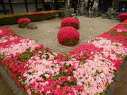 �ӂȂ���񂳂�̐S���@�̓��e�ʐ^1