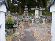 �ӂȂ���񂳂�̐S���@�̓��e�ʐ^3