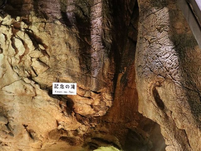 �L�O�̑�B_���͓�