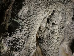 Yanwenli̗͓ւ̓eʐ^1