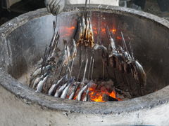 Ȃ񂳂̔m◬Z^[ւ̓eʐ^2