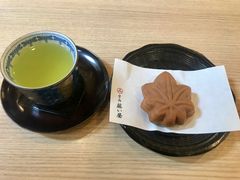 �������̎ʐ^1