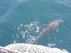 }}񂳂̓쓇CJEHb`Oւ̓eʐ^1