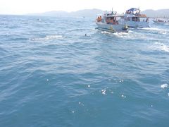 }}񂳂̓쓇CJEHb`Oւ̓eʐ^2