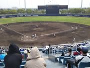 񂳂̕Fx[X{[X^WA̓eʐ^2