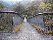 ÐhF̔~̖؍݂̒苴̓eʐ^2