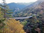 ÐhF̔~̖؍݂̒苴̓eʐ^3