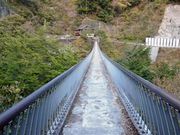 ÐhF̔~̖؍݂̒苴̓eʐ^4