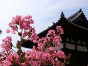 Yanwenlȉ퓿̓eʐ^2