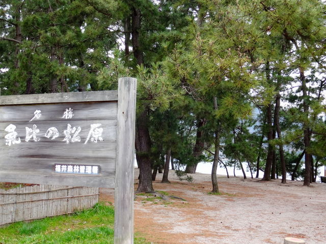 �C��̏���_�C��̏���