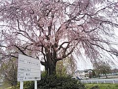 多摩川中央公園 アクセス 営業時間 料金情報 じゃらんnet