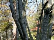 DoubleO7̕Sώ@N̓eʐ^1