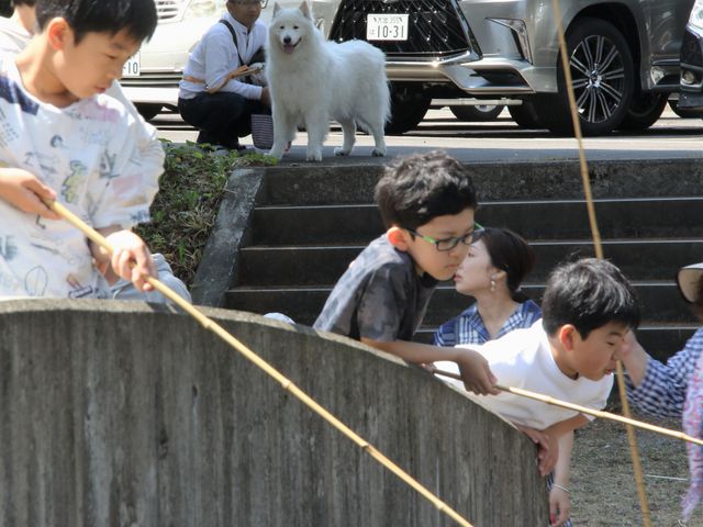 �����ނ�Ȃ����ȁ`����_����t�B�b�V���O�p�[�N