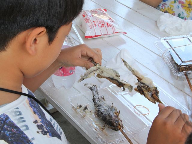 �����������ɐH�ׂċ���(1)_����t�B�b�V���O�p�[�N