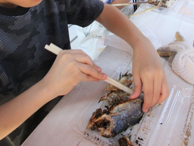 �����������ɐH�ׂċ���(2)_����t�B�b�V���O�p�[�N