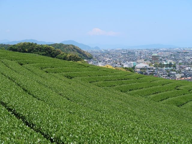 �����ƕx�m_�q�V����n