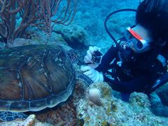 irom̃ANAJ[Yւ̓eʐ^1