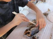 Ƃ񂳂̓tBbVOp[N̓eʐ^3