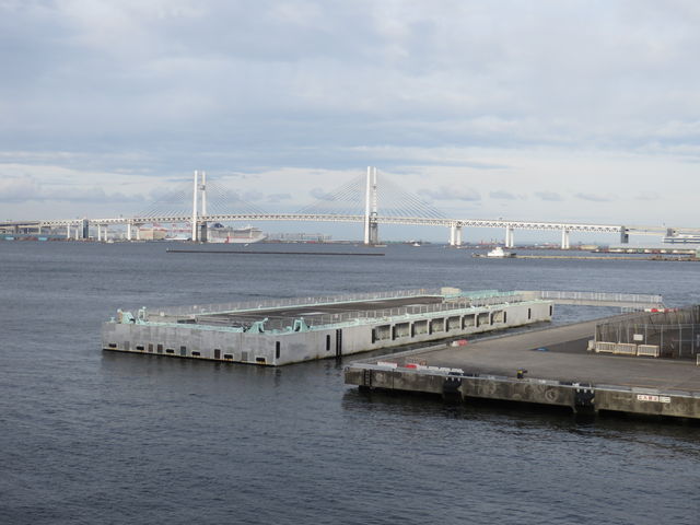 ��V�����o�`����D����_���l�x�C�u���b�W