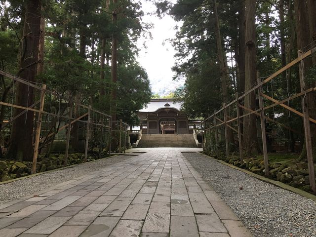 ��F�_��_�\�F�_��