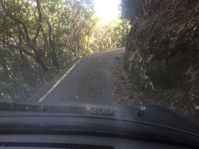 Ƃ񂳂̓V҂̕@̓eʐ^3