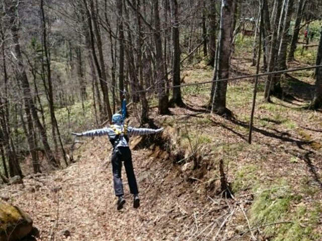 �C�����C�C�`��_�R�ʌ΃l�C�`���[�Z���^�[