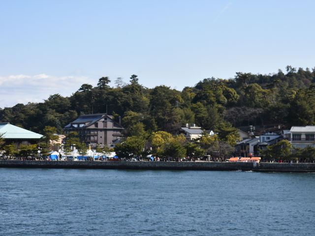 ���̈��@�{��_�{���A�\�����A�ߍ������A�����_������