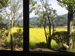 悵񂳂݂̗̂@lG̉Ƃւ̓eʐ^1