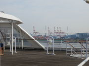 Ԃ񂳂̒ߌ΂̓eʐ^2