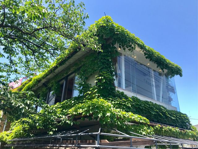 y_fCI `R[g qXzӂ̂܂2K__fCI `R[g qX