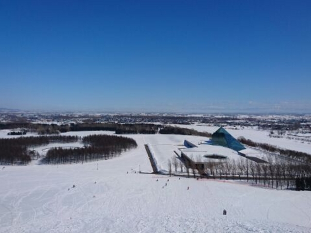 �����̒���_���G��������